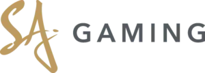 ผู้ให้บริการเกม